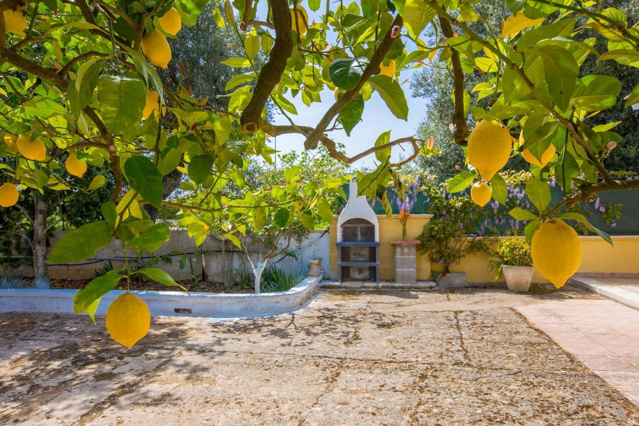 Casa Mediterranea Dei Normanni سان فيتو دي نورماني المظهر الخارجي الصورة